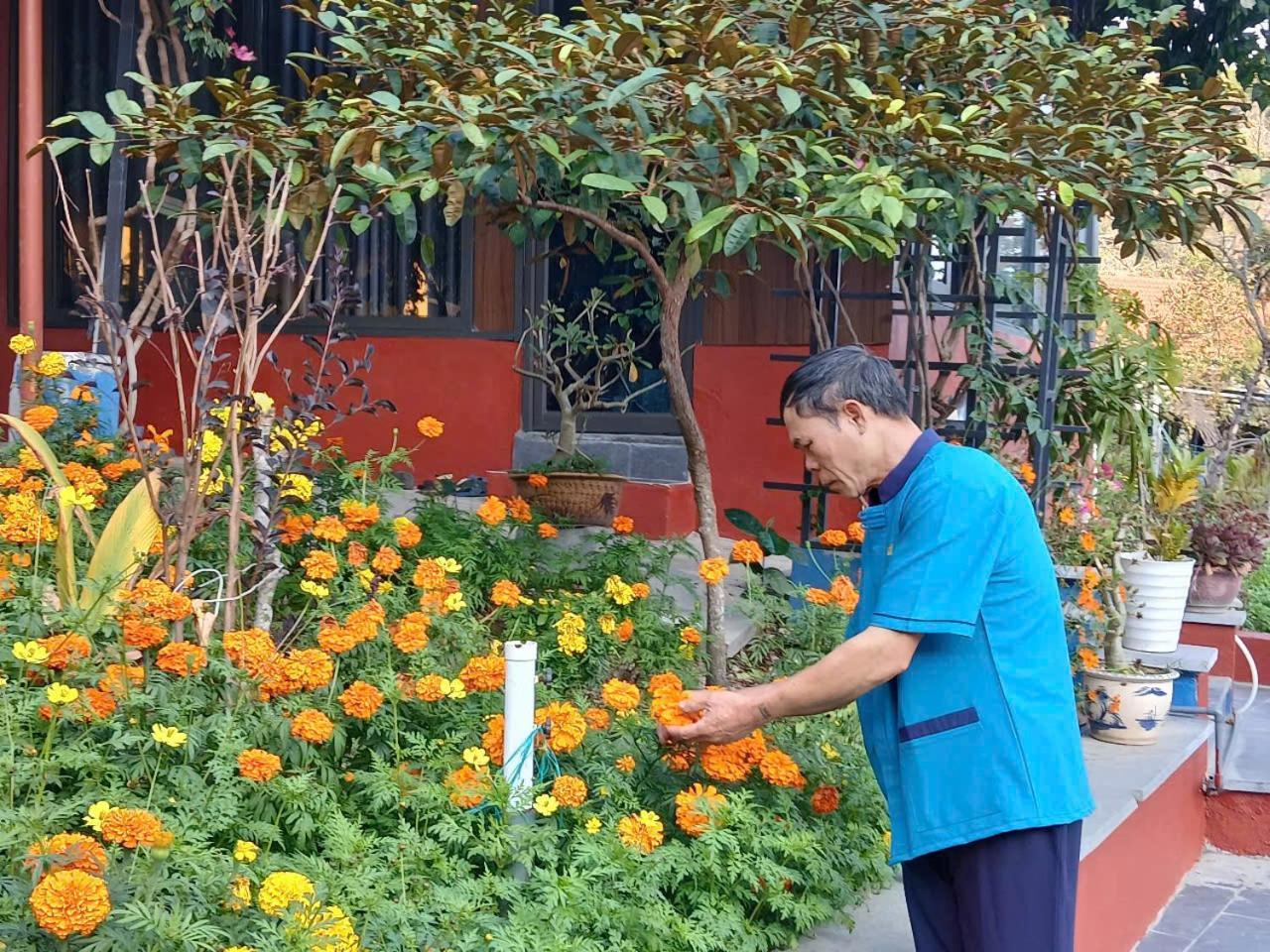 Catba Papillon Garden Bungalows & Resort Hien Hao ภายนอก รูปภาพ