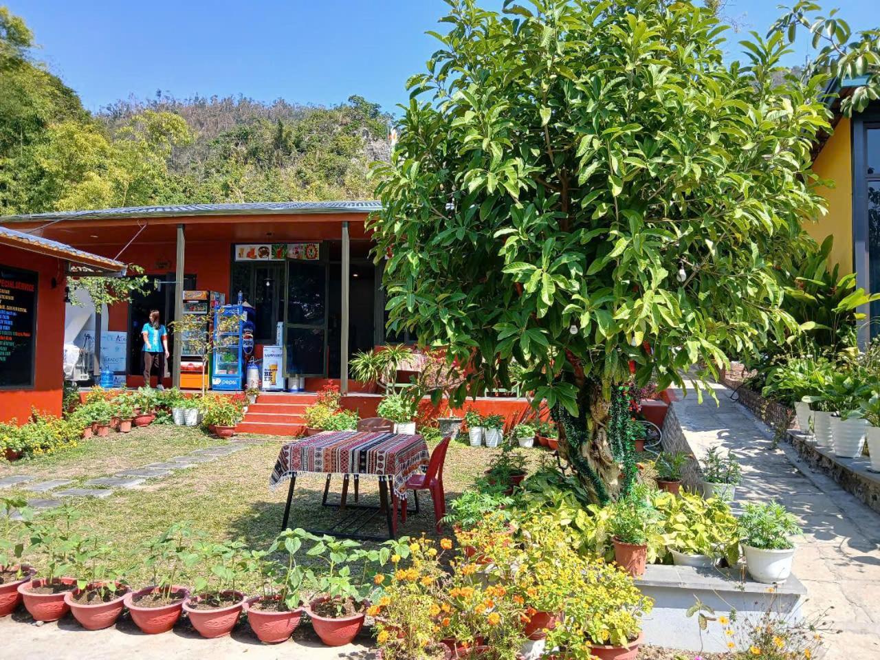 Catba Papillon Garden Bungalows & Resort Hien Hao ภายนอก รูปภาพ