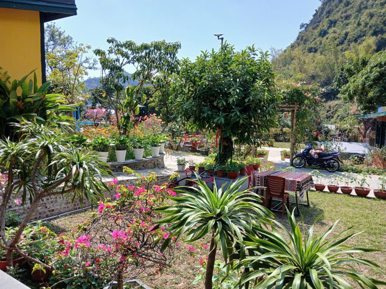 Catba Papillon Garden Bungalows & Resort Hien Hao ภายนอก รูปภาพ