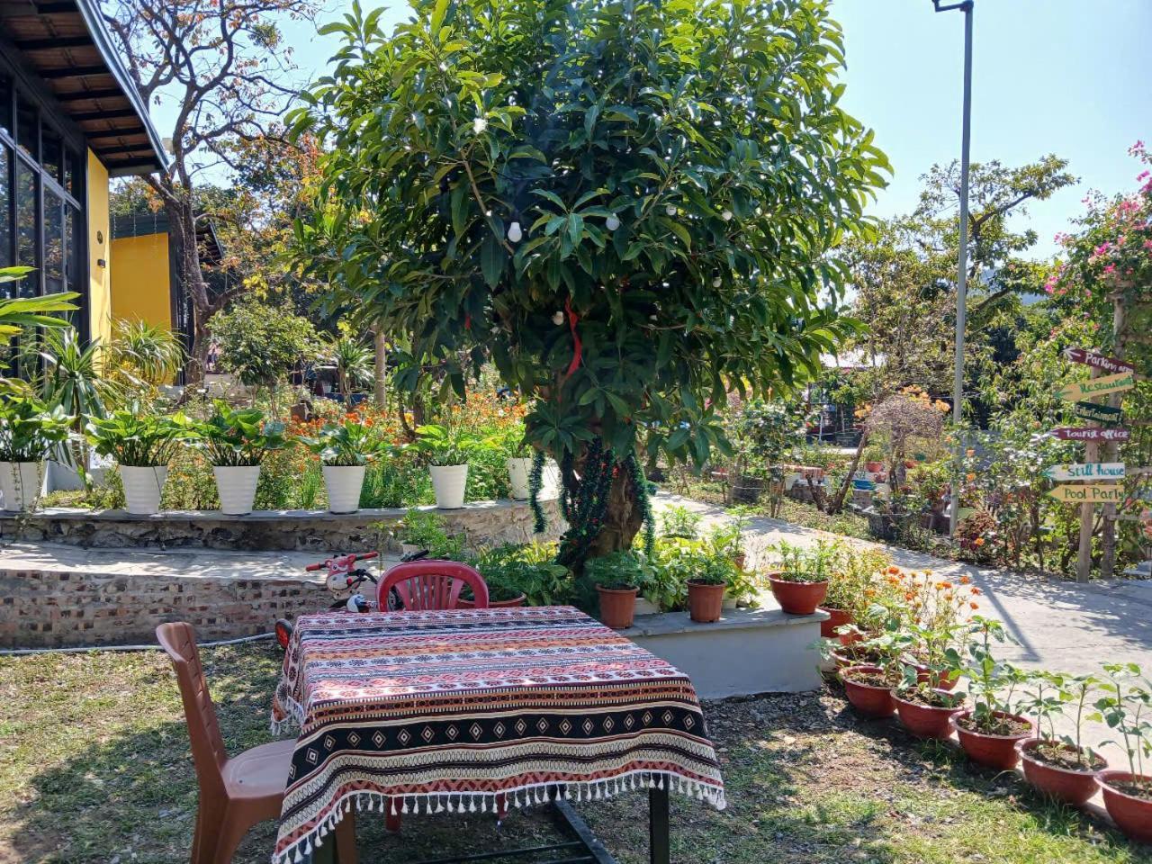 Catba Papillon Garden Bungalows & Resort Hien Hao ภายนอก รูปภาพ