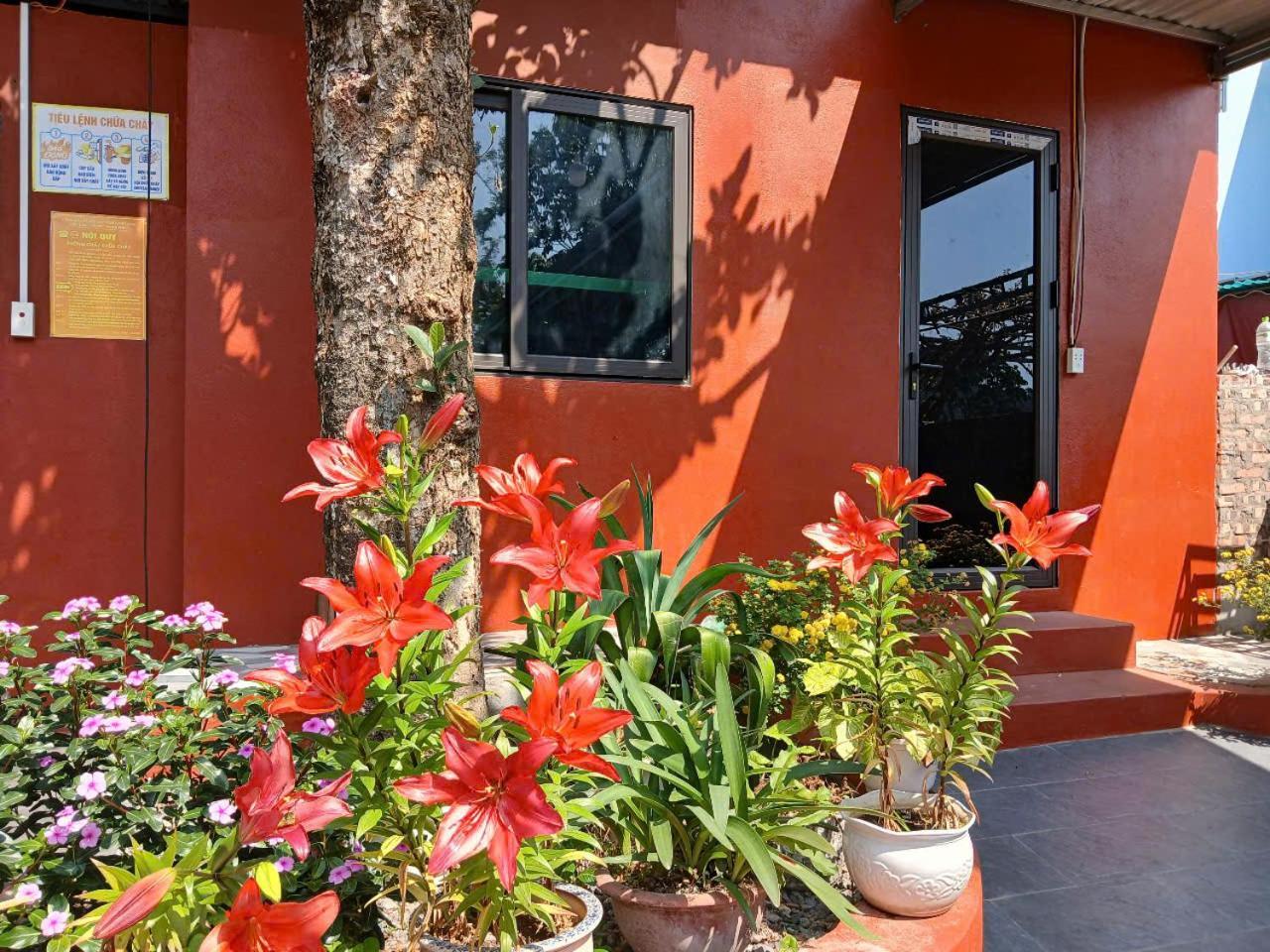 Catba Papillon Garden Bungalows & Resort Hien Hao ภายนอก รูปภาพ