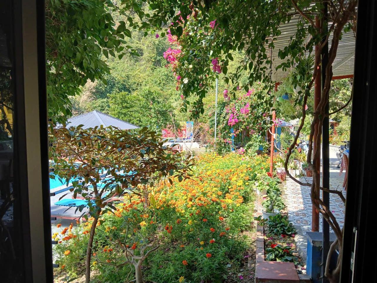 Catba Papillon Garden Bungalows & Resort Hien Hao ภายนอก รูปภาพ