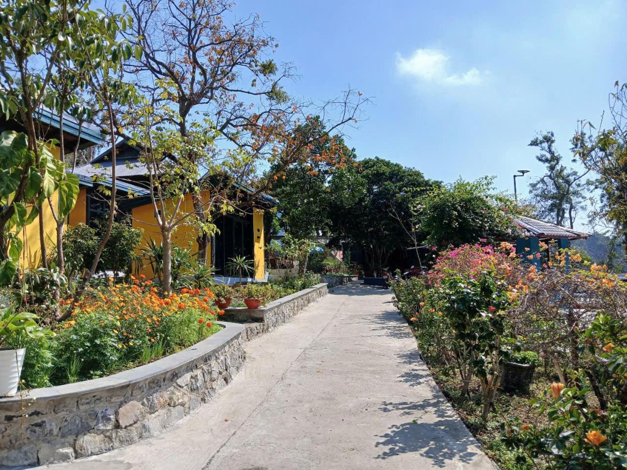 Catba Papillon Garden Bungalows & Resort Hien Hao ภายนอก รูปภาพ
