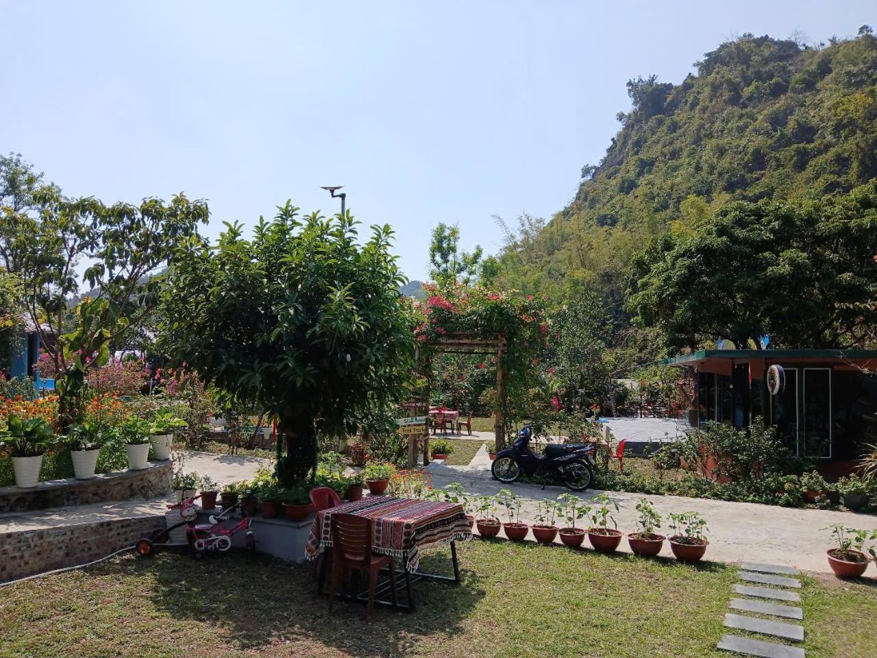 Catba Papillon Garden Bungalows & Resort Hien Hao ภายนอก รูปภาพ